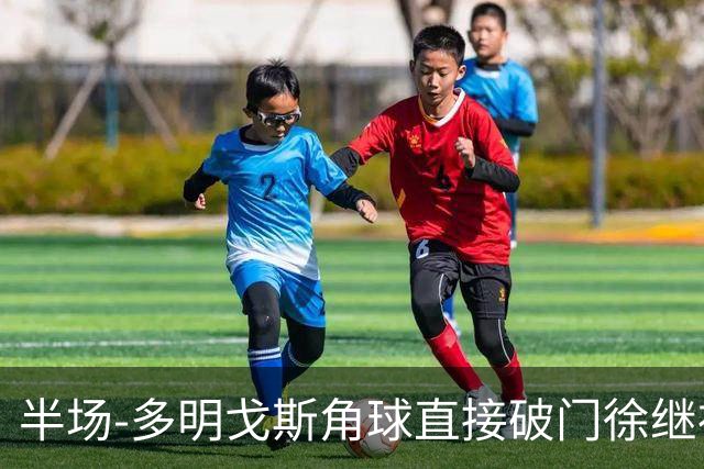 半场-多明戈斯角球直接破门徐继祖建功 延边龙鼎2-0佛山南狮