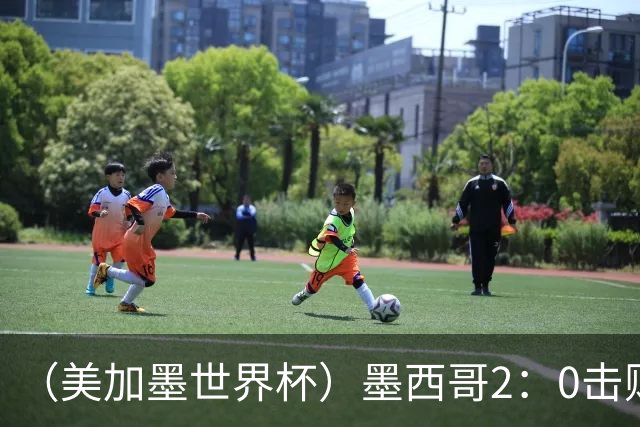 （美加墨世界杯）墨西哥2：0击败厄瓜多尔晋级16强